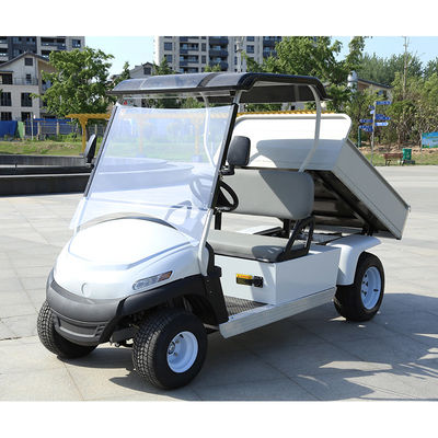 サポート OEM 電動ゴルフカート 裏バスケットベッドと 2 4 6 乗用車 バギー 最小広さ 150-200mm