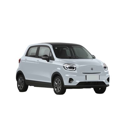 良い価格 2023電気SUV リップモーターT03 左駆動SUV 電気自動車 カスタマイズされたリチウム鉄リン酸電池 完璧 オンライン