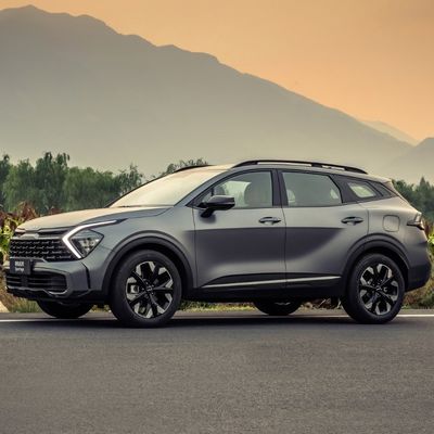 良い価格 コンパクトSUV 自動ガソリン車 燃料車 自動車 ESC 電子安定制御システム はい 制御重量 1000kg-2000kg オンライン
