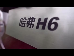 高速HAVAL H6 2023 コンパクトSUV 燃料車市場における究極の選択